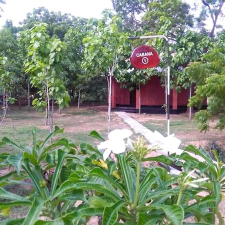 Lavish Eco Jungle Hotel Tissamaharama Bagian luar foto
