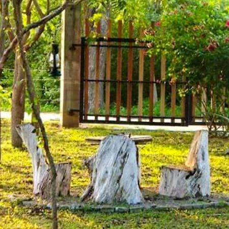 Lavish Eco Jungle Hotel Tissamaharama Bagian luar foto