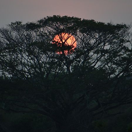Lavish Eco Jungle Hotel Tissamaharama Bagian luar foto