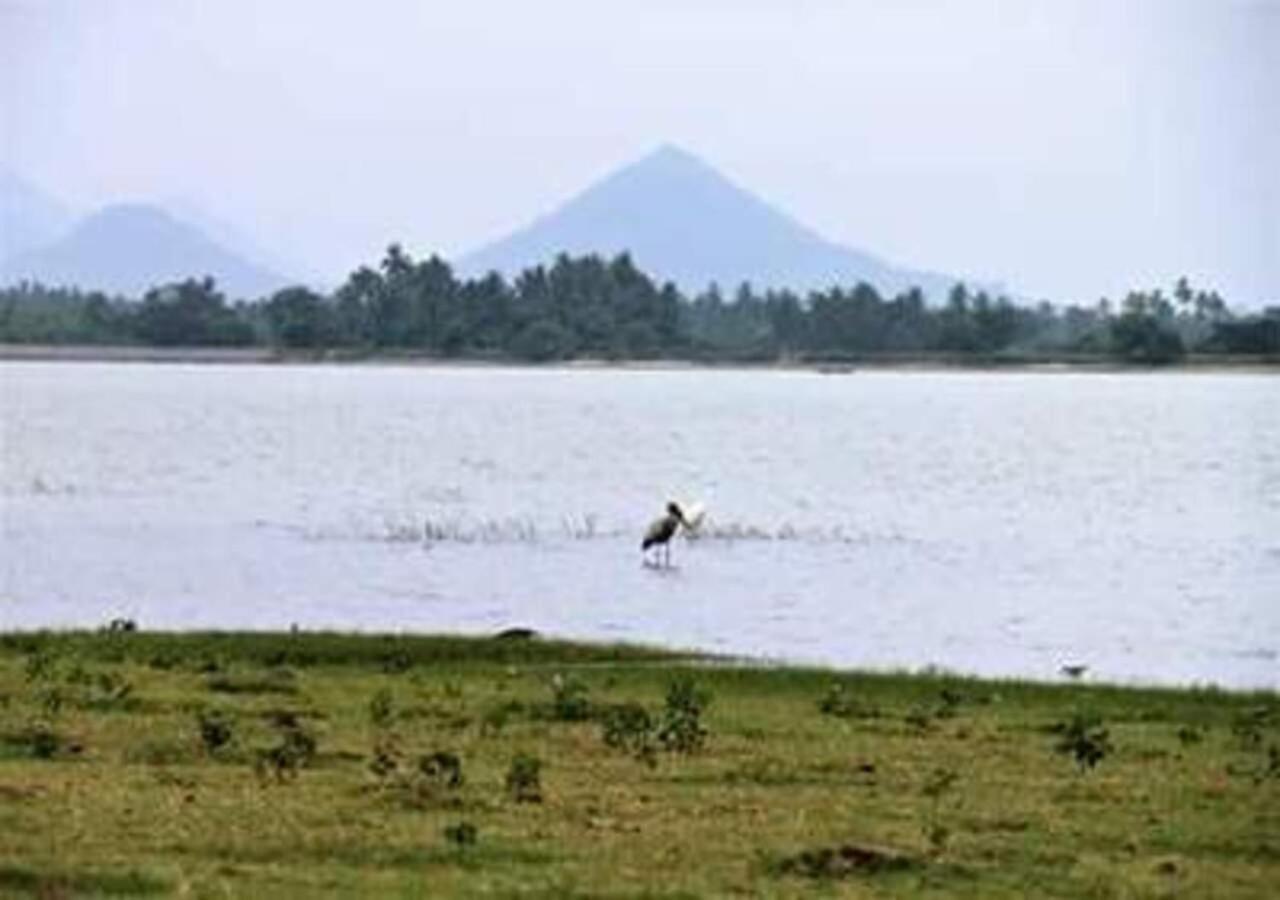 Lavish Eco Jungle Hotel Tissamaharama Bagian luar foto