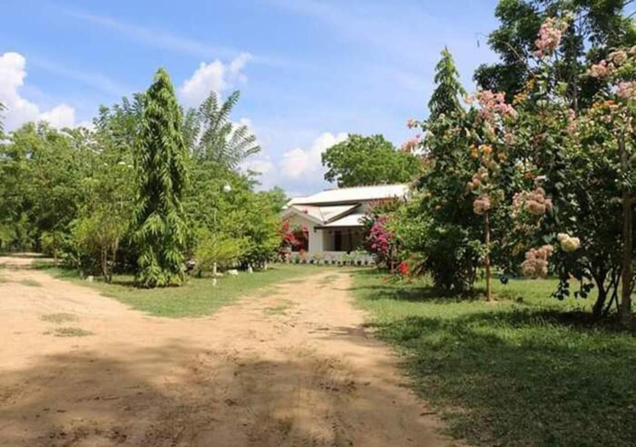 Lavish Eco Jungle Hotel Tissamaharama Bagian luar foto