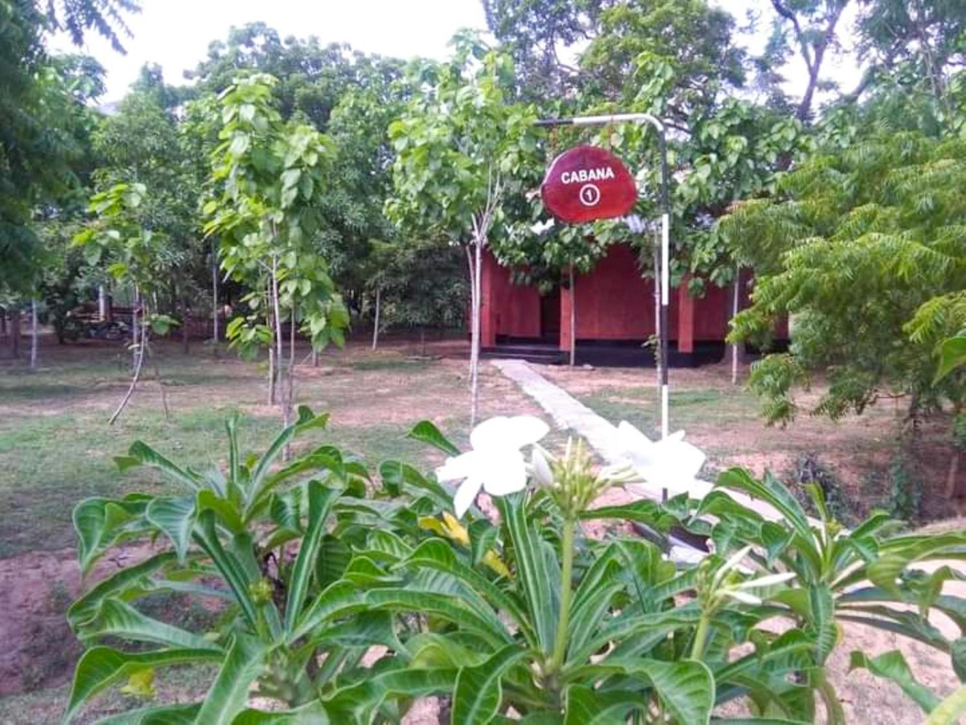 Lavish Eco Jungle Hotel Tissamaharama Bagian luar foto