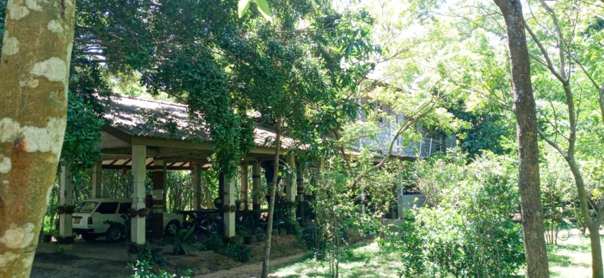 Lavish Eco Jungle Hotel Tissamaharama Bagian luar foto