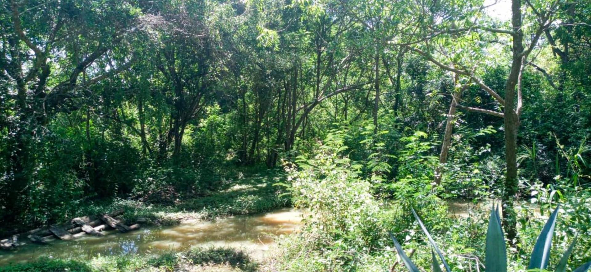 Lavish Eco Jungle Hotel Tissamaharama Bagian luar foto