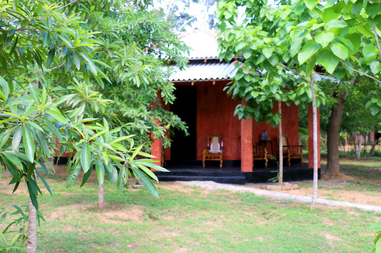 Lavish Eco Jungle Hotel Tissamaharama Bagian luar foto