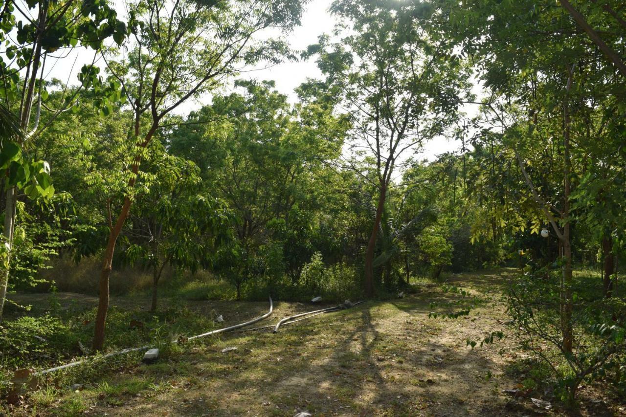 Lavish Eco Jungle Hotel Tissamaharama Bagian luar foto