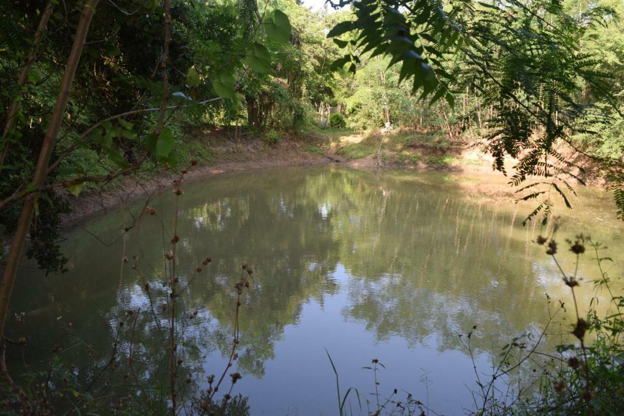 Lavish Eco Jungle Hotel Tissamaharama Bagian luar foto