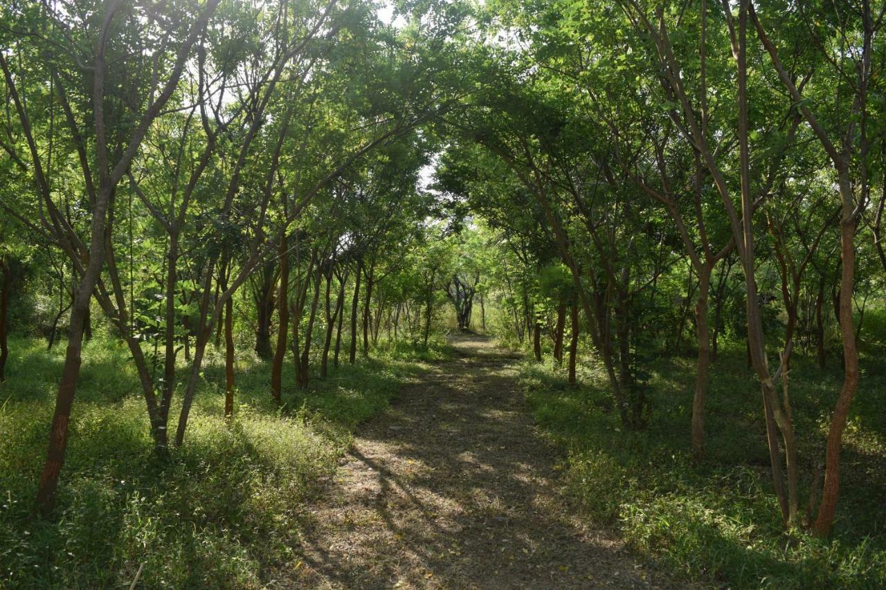 Lavish Eco Jungle Hotel Tissamaharama Bagian luar foto